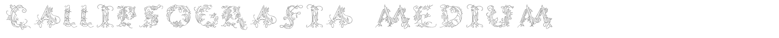 CalliPsoGrafia font preview